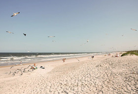 Element Jacksonville Beach