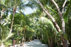 Largo Resort