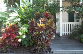 Duval House