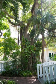 Duval House