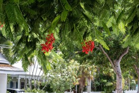 Frances Street Bottle Inn