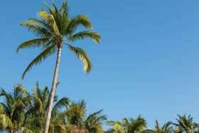 Hilton Garden Inn Key West / The Keys Collection