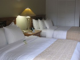 Paradise Inn