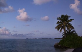 Pier House Resort &  Spa