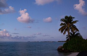 Pier House Resort &  Spa