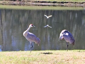 Cumbrian Lakes Villas