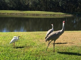 Cumbrian Lakes Villas