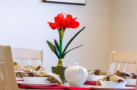 Emerald Island Resort