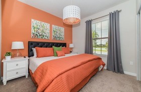 Stellar Disney Home