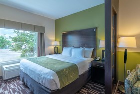 Comfort Suites Lake City