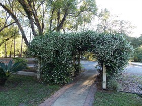 The Ann Stevens House Bed and Breakfast