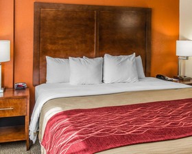 Comfort Inn & Suites Lakeland North I-4