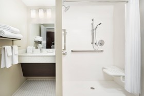 TownePlace Suites by Marriott Leesburg
