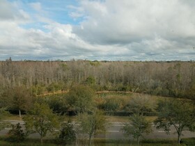 Hilton Garden Inn Tampa Suncoast Parkway