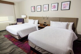 Hilton Garden Inn Tampa Suncoast Parkway
