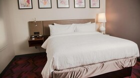 Hilton Garden Inn Tampa Suncoast Parkway