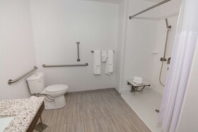 Hilton Garden Inn Tampa Suncoast Parkway