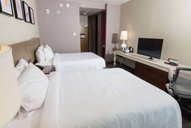Hilton Garden Inn Tampa Suncoast Parkway