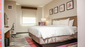 Hilton Garden Inn Tampa Suncoast Parkway