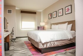 Hilton Garden Inn Tampa Suncoast Parkway