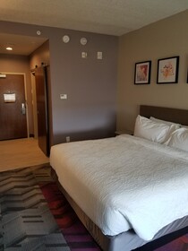 Hilton Garden Inn Tampa Suncoast Parkway
