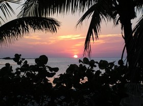 Blackfin Resort