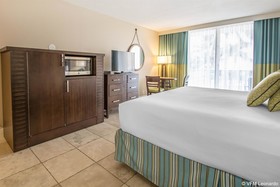 The Hammocks at Marathon