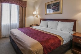 Econo Lodge Inn & Suites