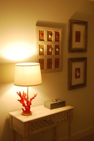 Monte Carlo Miami Beach Condo