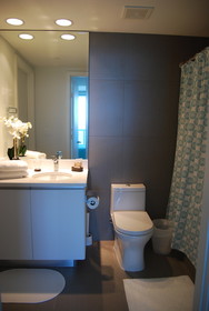 Monte Carlo Miami Beach Condo