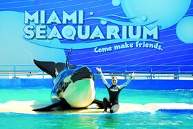 Chic Ocean Miami 88