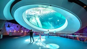 Chic Ocean Miami 88