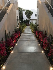 Luxury Miami Beach Apartments By Michigan