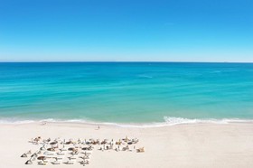 Solé Miami, A Noble House Resort