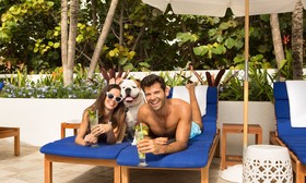 Solé Miami, A Noble House Resort