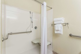 Microtel Inn & Suites by Wyndham Ocala
