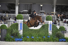 The Equestrian