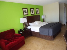 Flamingo Motel
