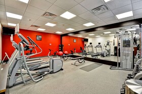 Hilton Garden Inn Tampa Northwest/Oldsmar