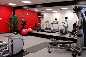 Hilton Garden Inn Tampa Northwest/Oldsmar