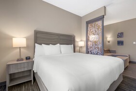 Comfort Suites Orlando Lake Buena Vista
