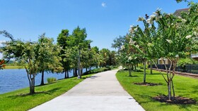 Lake Front Oasis