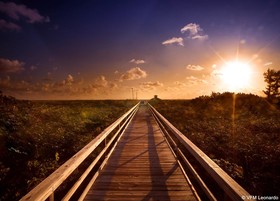 Palm Beach Shores Resort & Vacation Villas