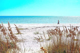 Flagler Dream