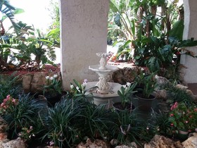 Vista Inn Lake Tarpon
