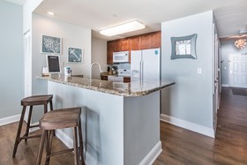 Aqua Resort by Teeming Vacation Rentals