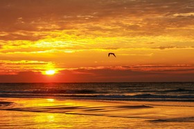 Edgewater By Itrip Panama City Beach