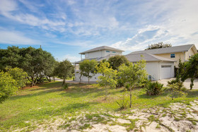 Pelicans Nest