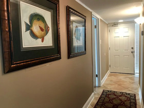Pelican Walk Rentals
