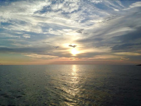 Pelican Walk Rentals